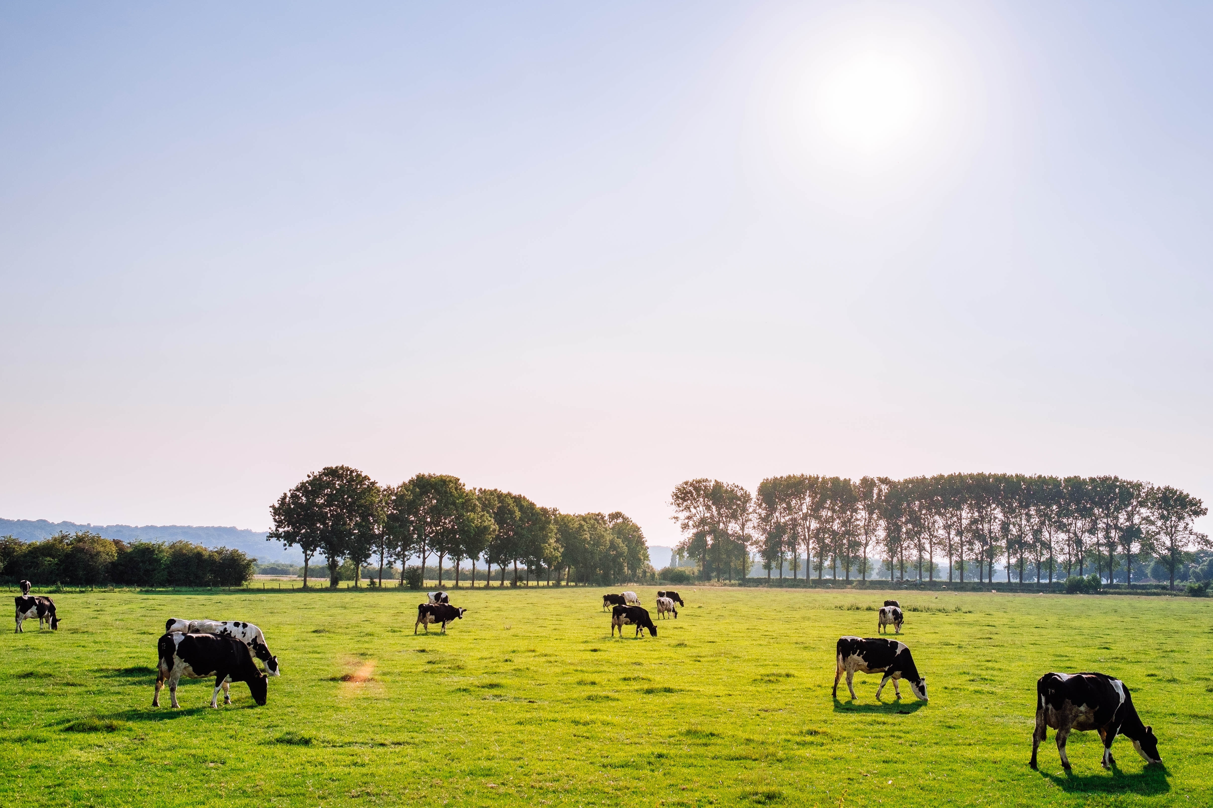 Stinky Neighbours? What happens when people make complaints - Manure ManagerManure Manager Stinky Neighbours? What happens when people make complaints - Manure ManagerManure Manager