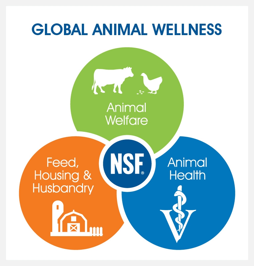 NSF International introduces global animal wellness standards - Manure  ManagerManure Manager