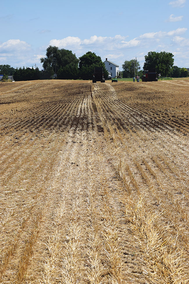 cover-pic-2-compaction